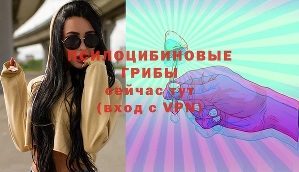 гашик Алексеевка