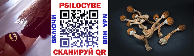 Псилоцибиновые грибы мухоморы Переславль-Залесский